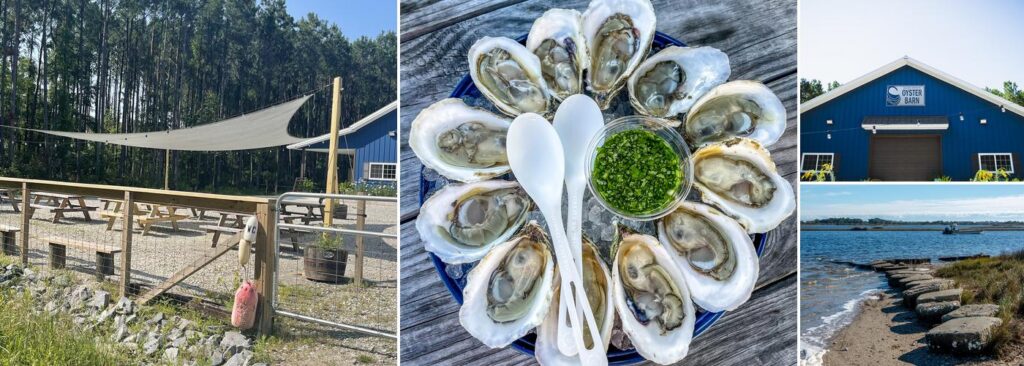 N Sea Oyster Company Photo 1