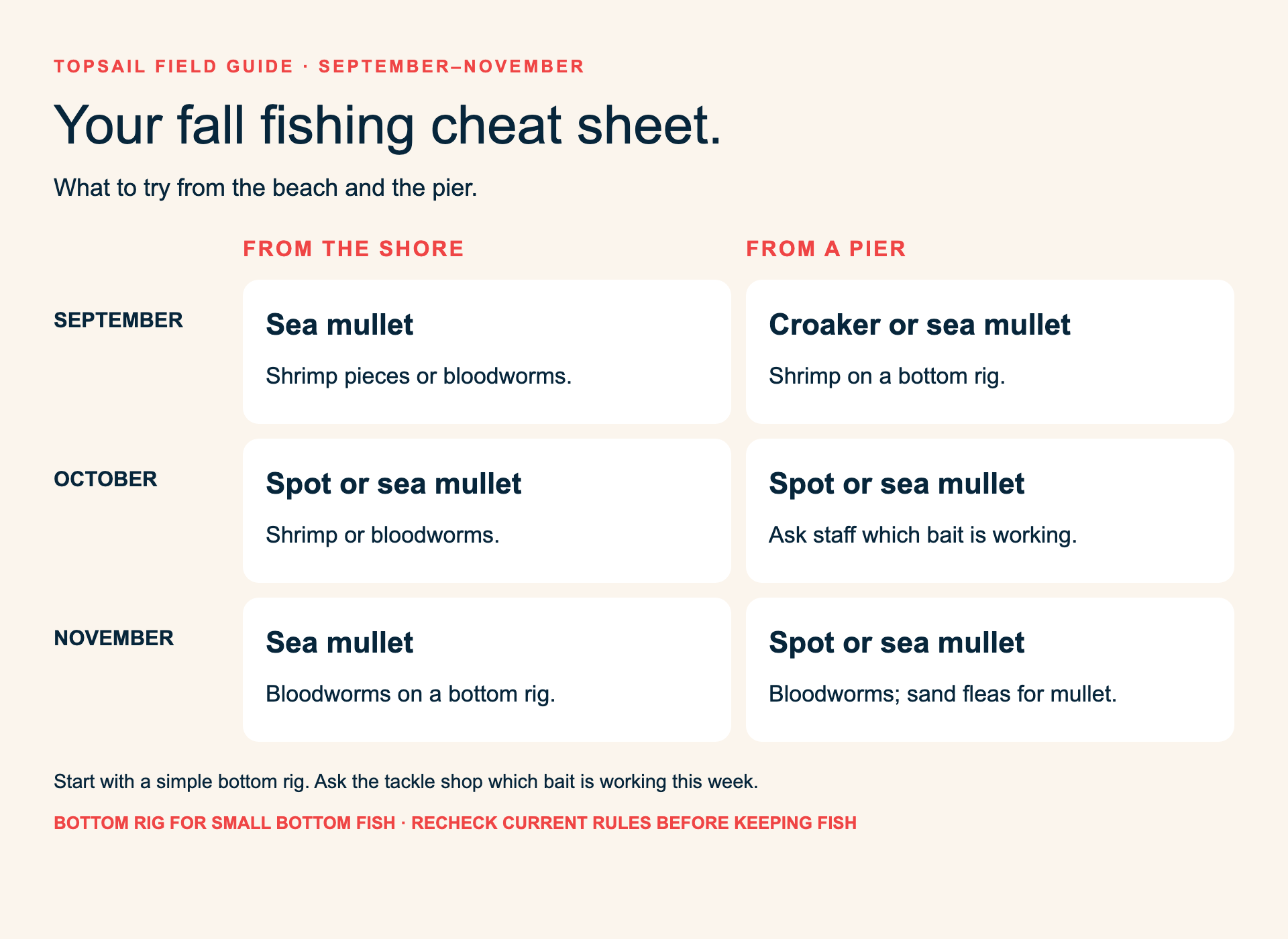September, October and November surf and pier fishing guidance; full guidance and dated evidence appear in the paragraphs above