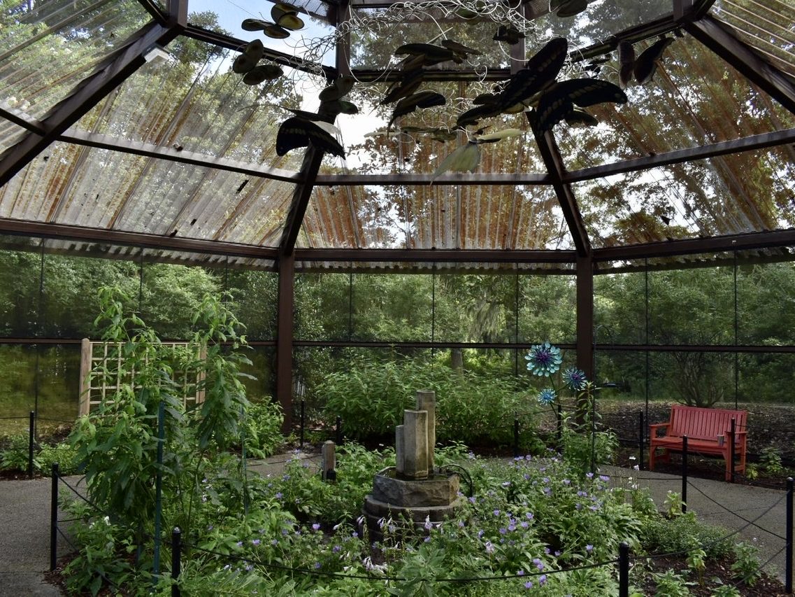 Inside the open-air butterfly house