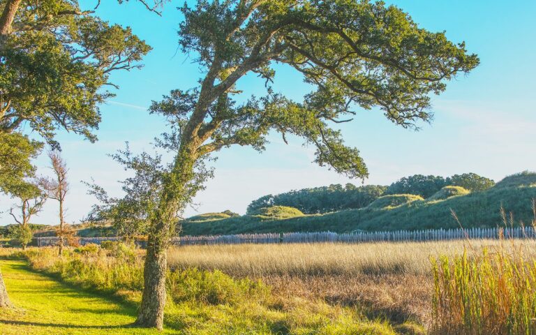 The Fort Fisher earthworks under live oaks