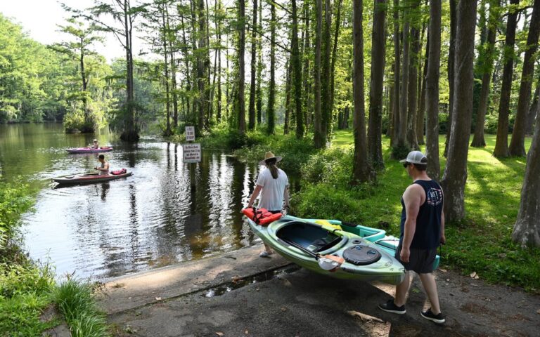 Kayaks launching under cypress trees at Greenfield Lake
