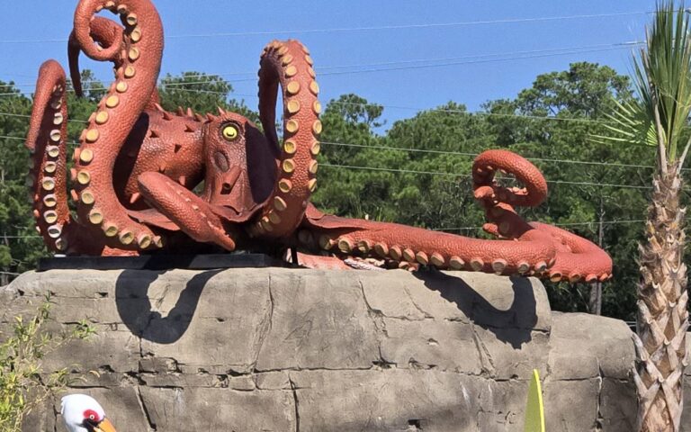 KiKi, the 15-foot kraken