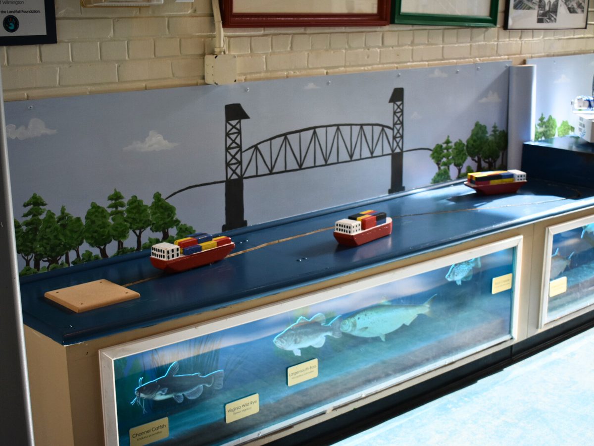 The Port CMoW river model