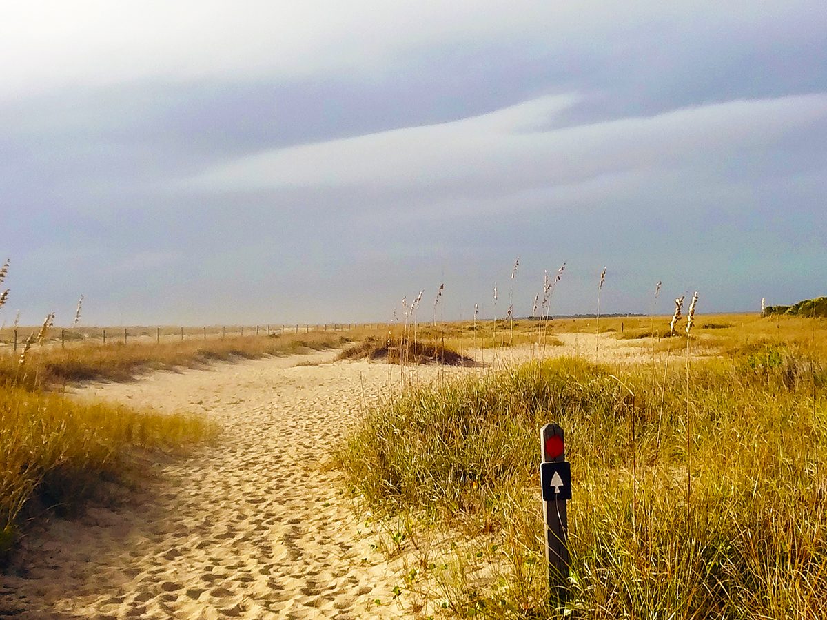 The Basin Trail through the marsh
