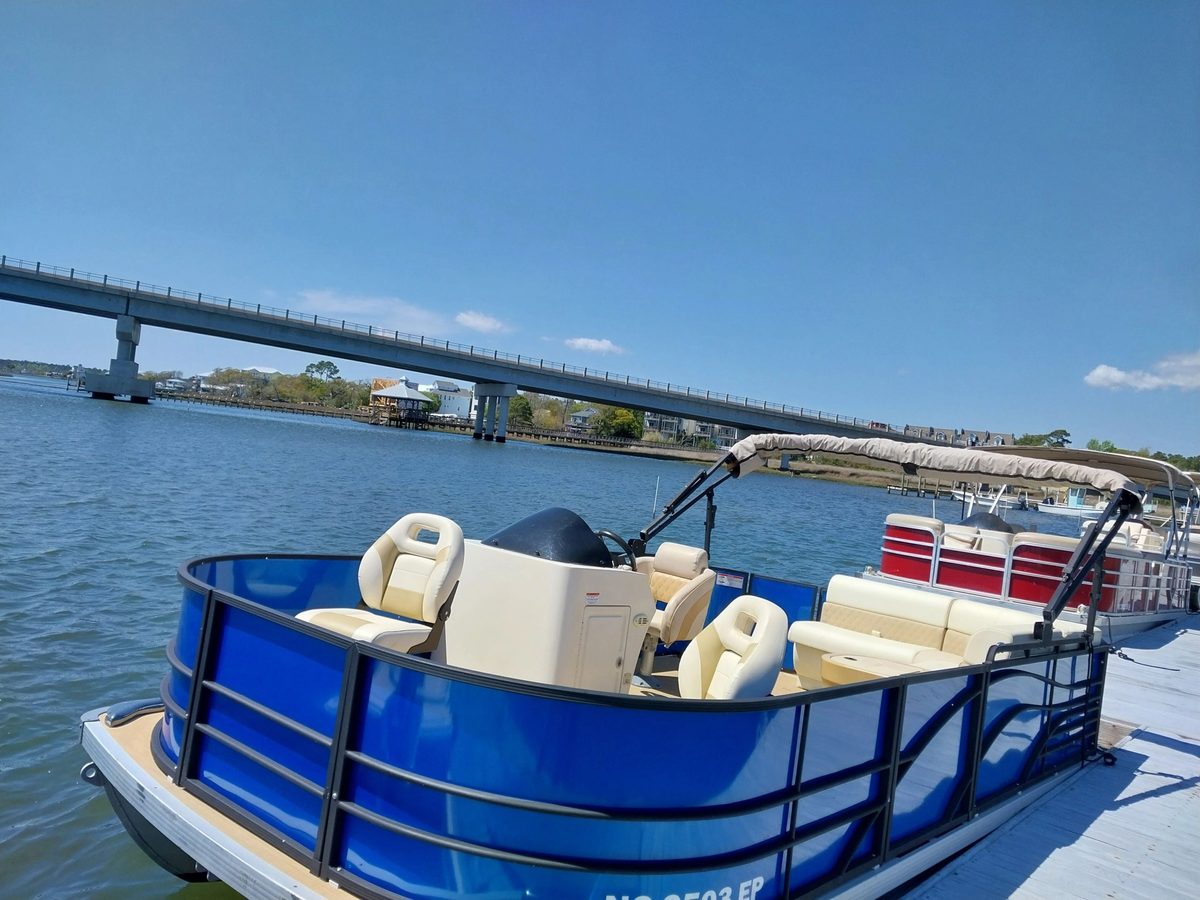 A blue tritoon at the dock