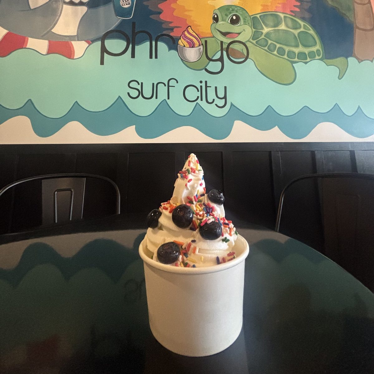 A cup of frozen yogurt with blueberries and sprinkles in front of Phroyo’s Surf City mural